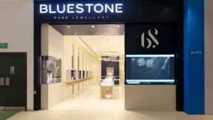BlueStone Jewellery And Lifestyle Internship